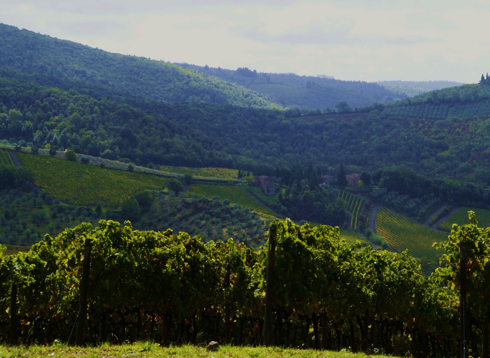 Ristorante Pestello Castellina in Chianti